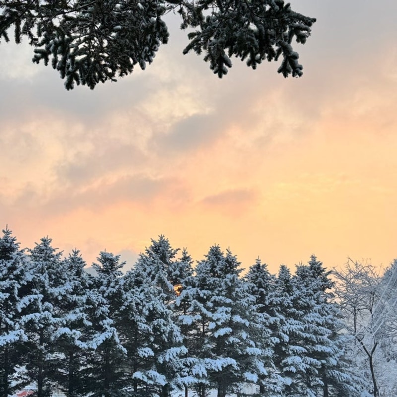 눈 오는 연천 연몽캠핑장