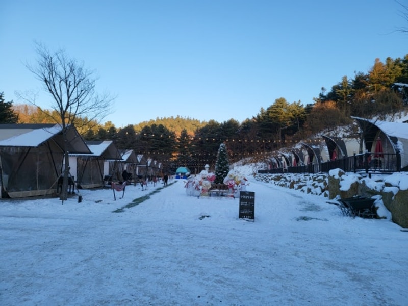 포천 노블글램핑 1박과 인근 베이커리카페 카페숨 후기