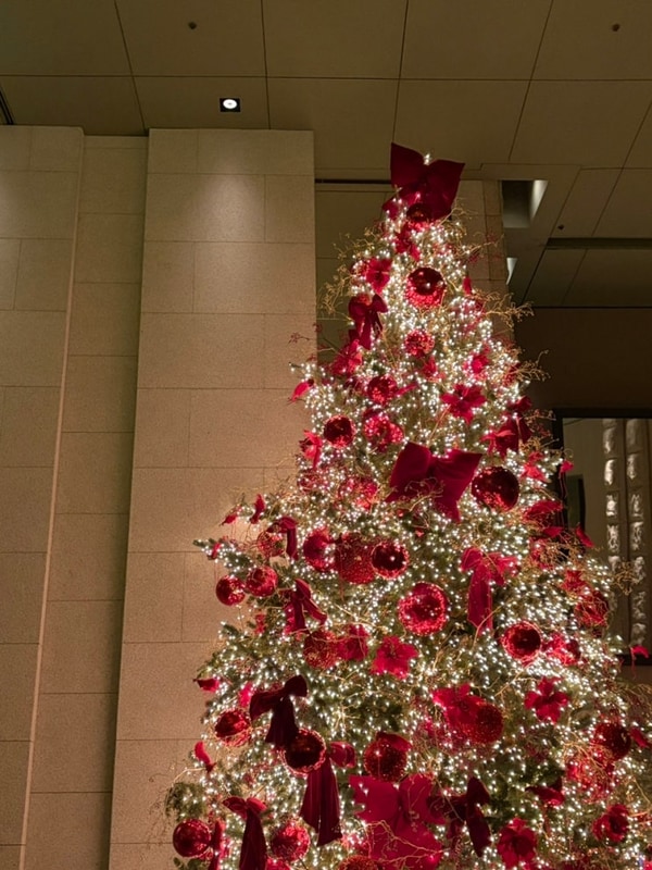 솔직후기,채원감자탕,양평 낭만캠핑장,여주아울렛...