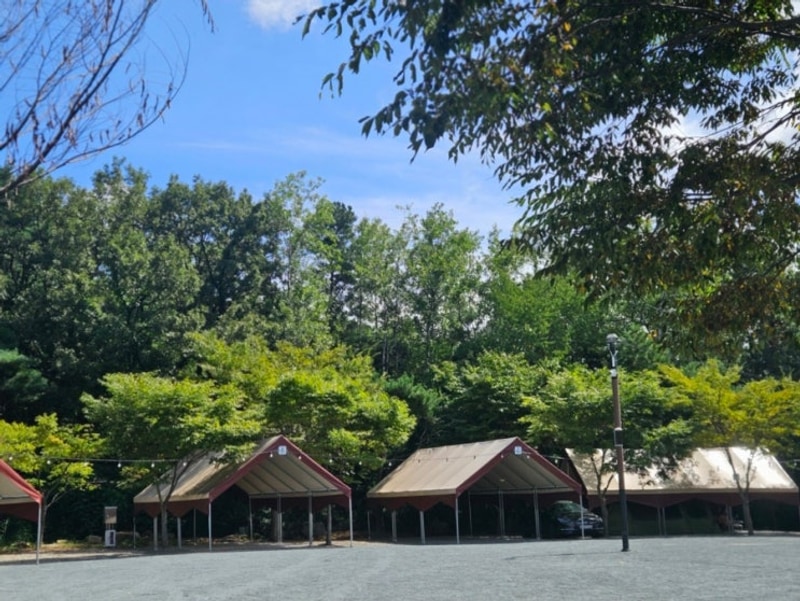 ❤️김해 가야달빛야영장 “달빛존”