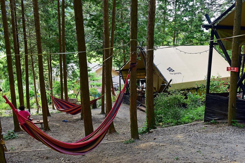 월성 산아래 글램핑 시설 사진 7