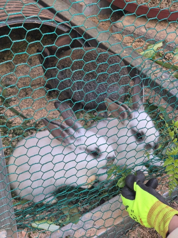 6번째 캠핑_2박3일(신생_여주 캠퍼디)