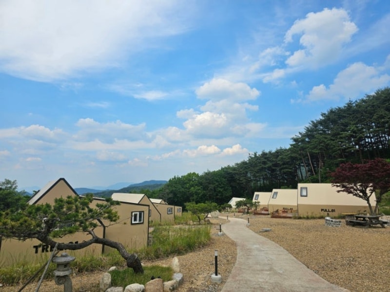 (숙소) 대구 팔공산 글램핑 - 트리풀 (내돈내산)