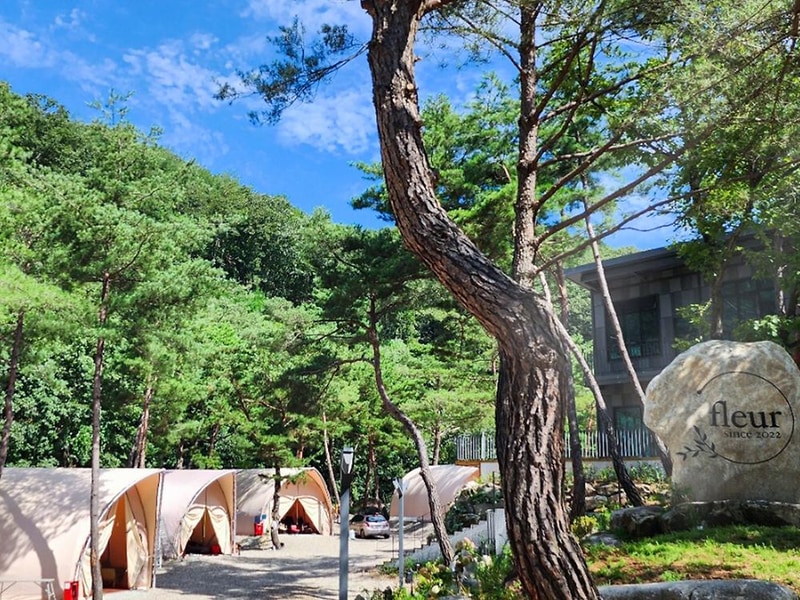 소나무세상 시설 사진 7