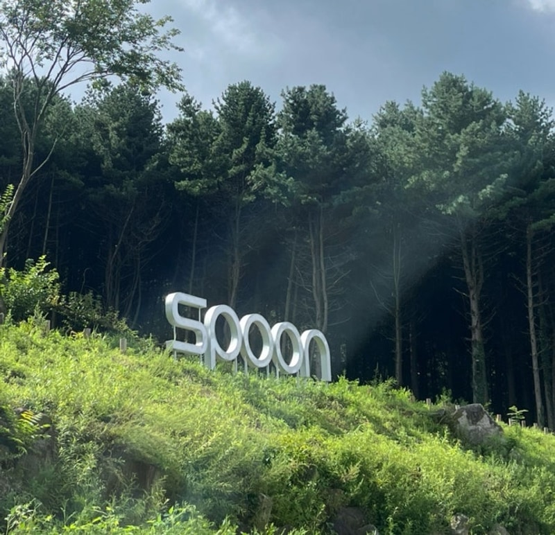 내돈내산 포천 노키즈 스푼 글램핑 카라반 강추 후기 / 글램핑...