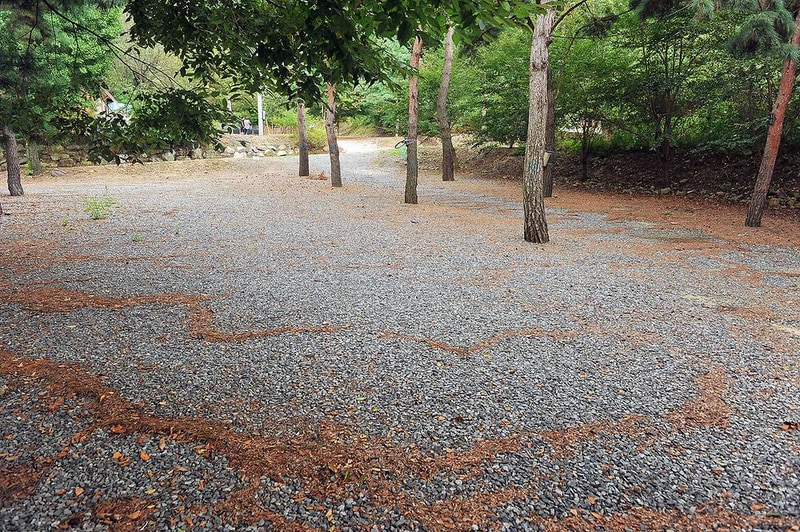 계곡과소나무 캠핑장 시설 사진 7