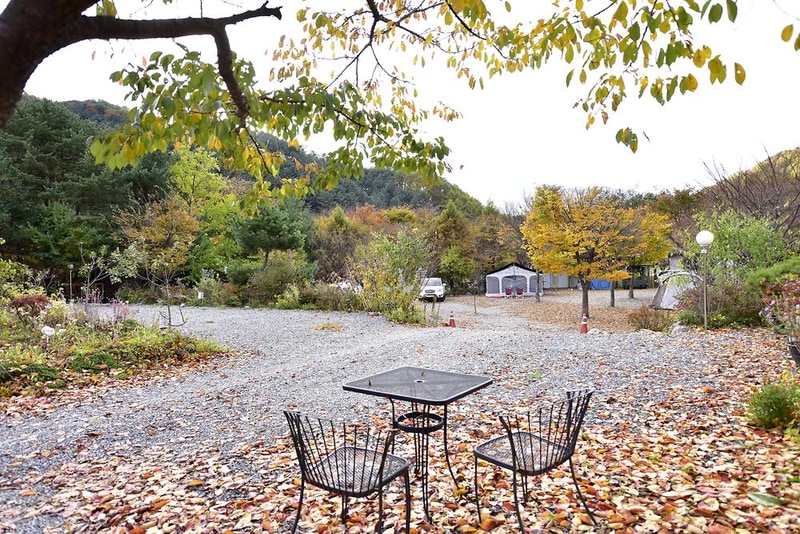 들꽃여울캠핑장 시설 사진 13