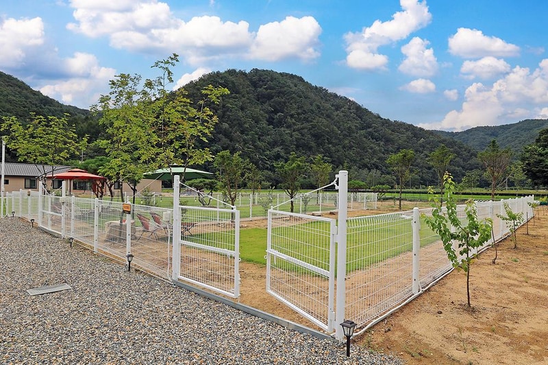 도기도기캠프 시설 사진 2