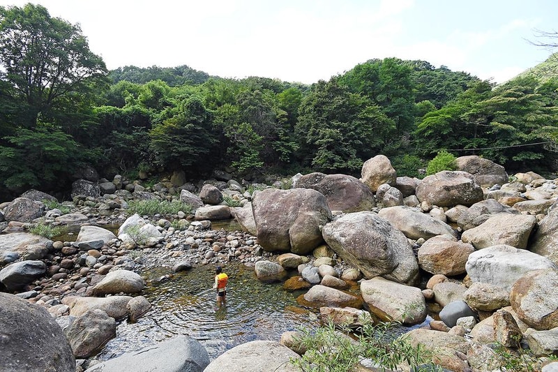 느티나무야영장 시설 사진 8