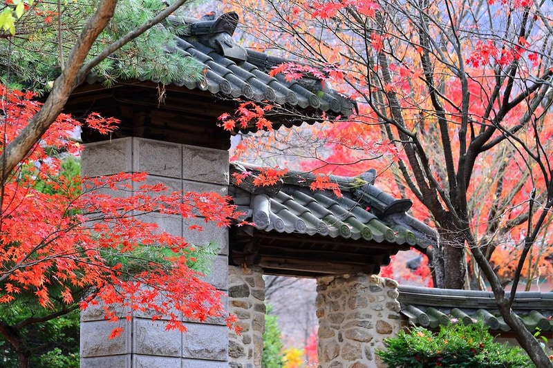 유명산밸리캠핑장 시설 사진 10