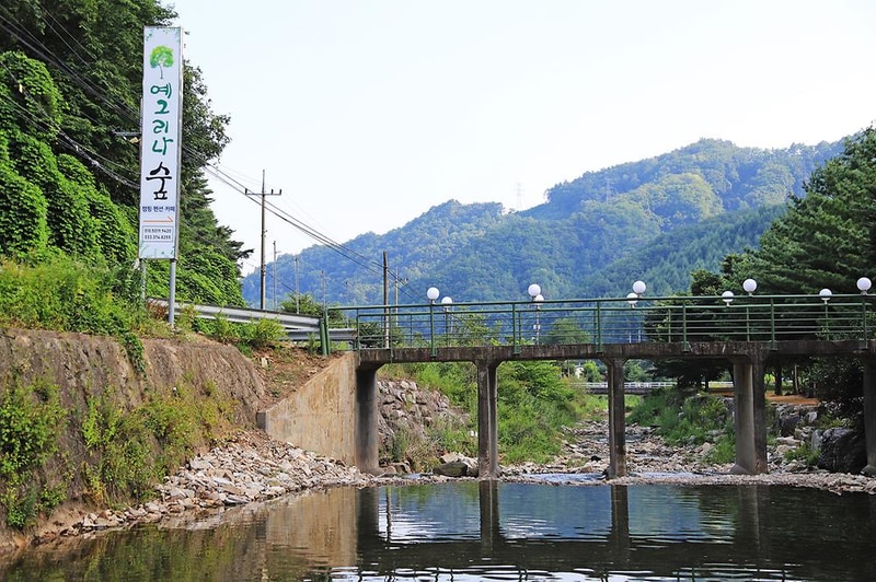 예그리나숲 시설 사진 4