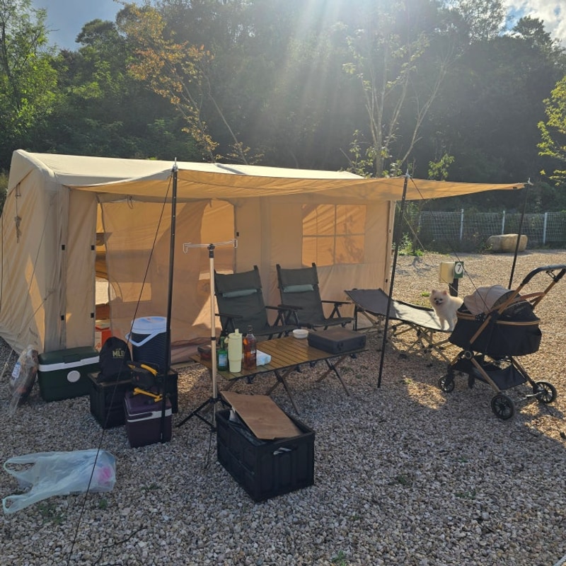 영덕 메타쉐콰이어 오토캠핑장 첫 캠핑