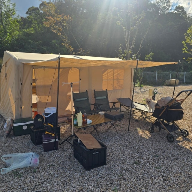 메타쉐콰이어 오토 캠핑장 대표 사진