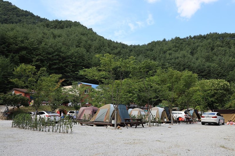 봉화솔향가득서울캠핑장 시설 사진 22