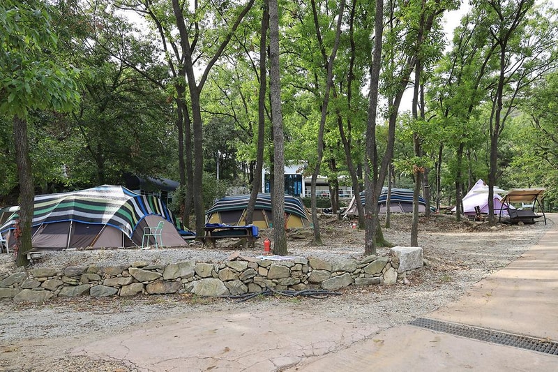 뮤즈캠핑장 시설 사진 18