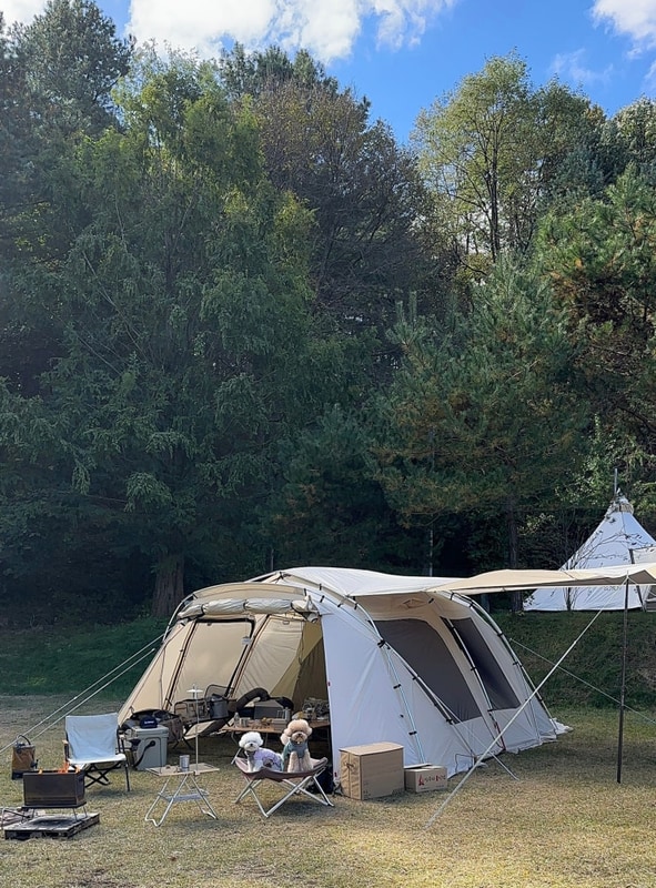 강원도 횡성 캠핑장 도모횡성 애견동반 잔디 캠핑장 (잔디4...