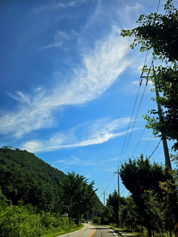 영월)  밤골캠핑장 (밤골야영장)