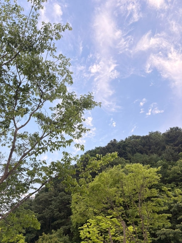 [캠핑] 양평힐링계곡오토캠핑장, 6세아들과 2박3일(C4구역)