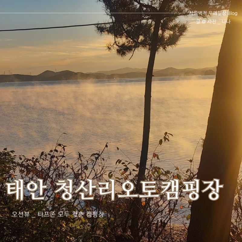 태안 오션뷰 캠핑장 청산리 오토캠핑장 feat. 명당자리, 고양이