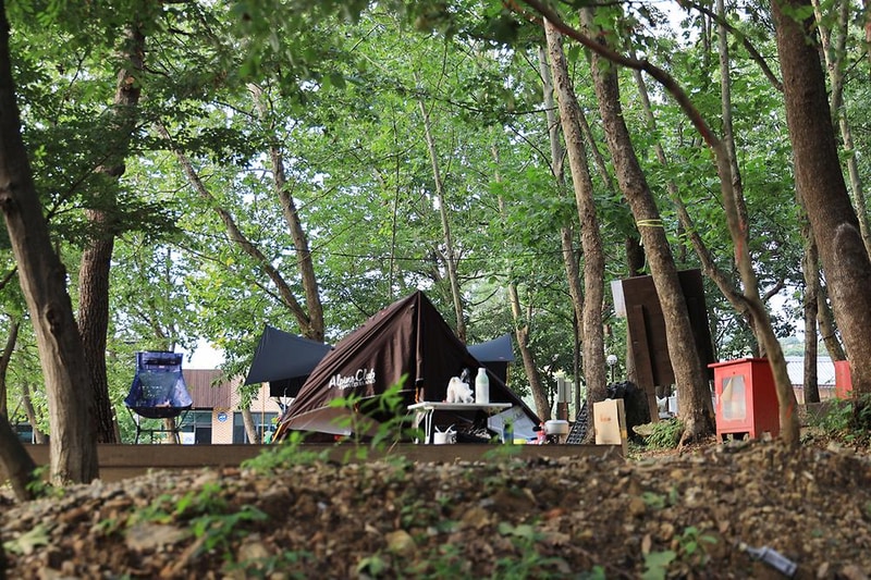하남 야영장 시설 사진 14
