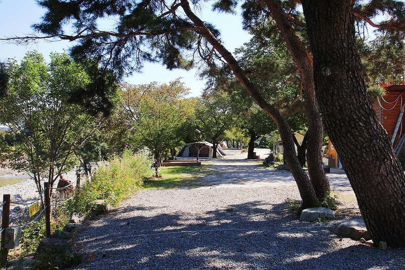 늘푸른캠핑장 시설 사진 16