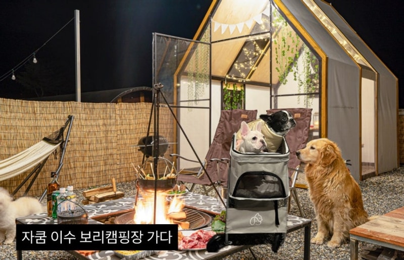 [보리캠핑장]반려동물 동반 카라반에 다녀와보았다!+자쿰...