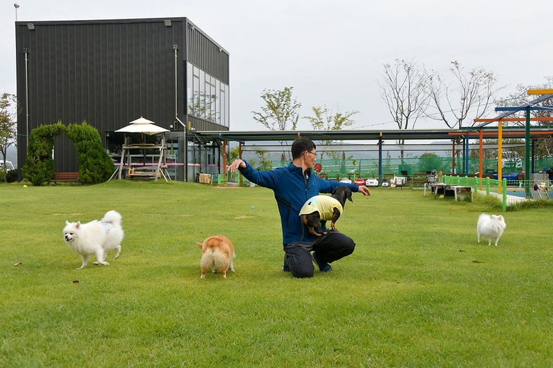 한별 도그파크 시설 사진 10