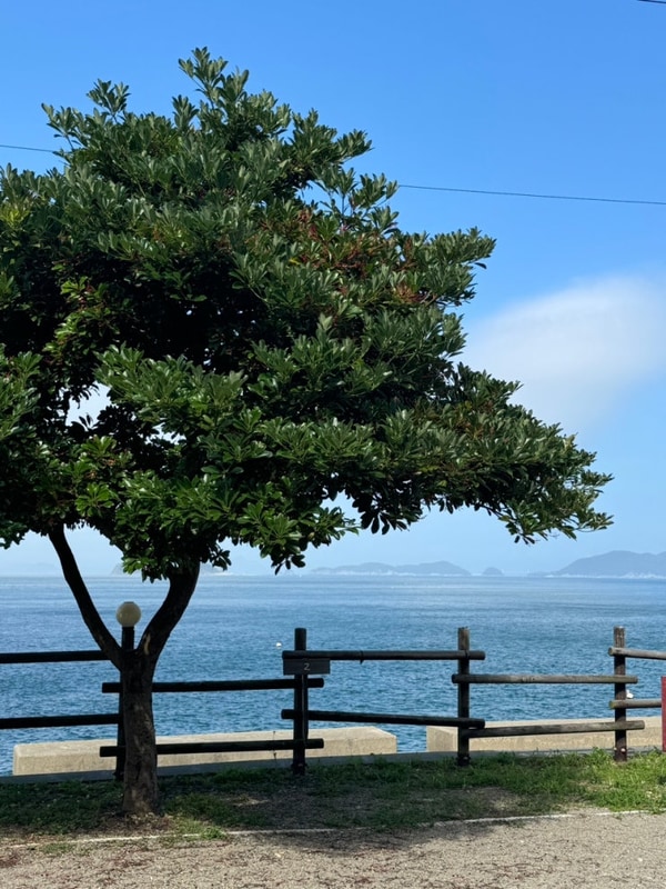 통영 욕지도 여행 2박3일 캠핑 (대풍바위캠핑장,흰작살해변...