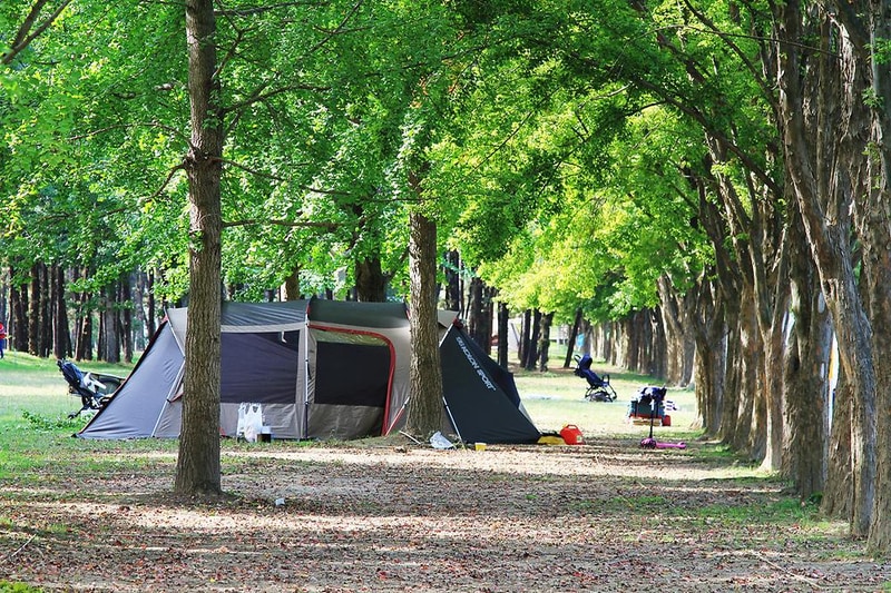 송호국민관광지 야영장 시설 사진 11
