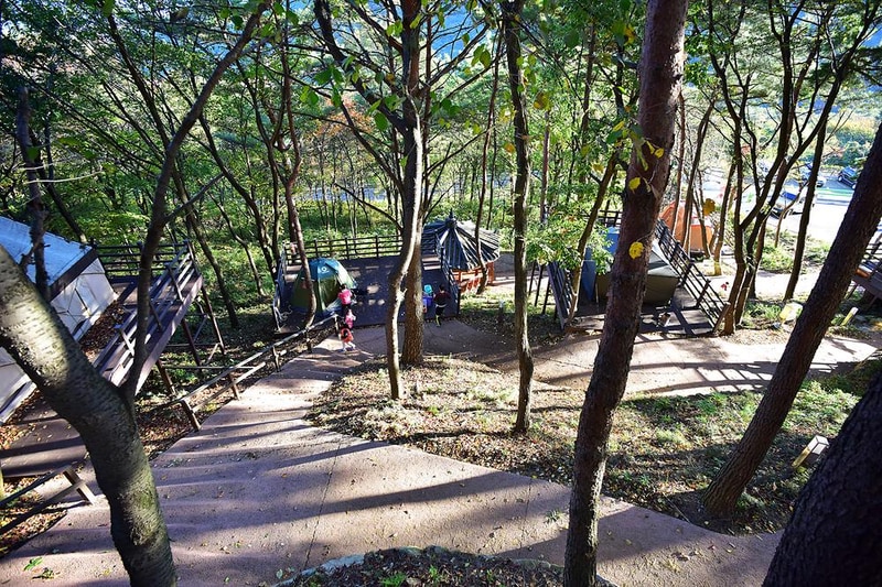 신어산자연숲캠핑장 시설 사진 9