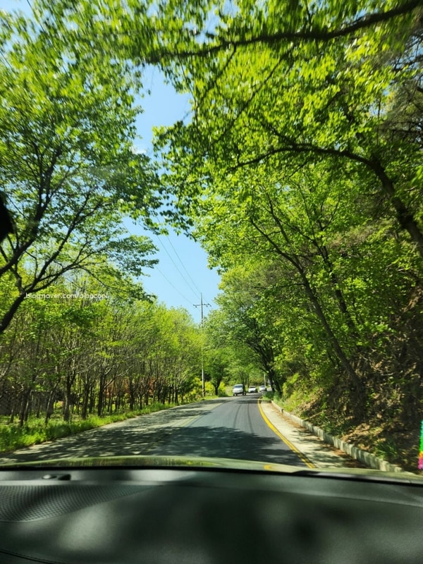 경남 합천 황매산숲속야영장 A24, 황매산철쭉, 일출보기, 산천...