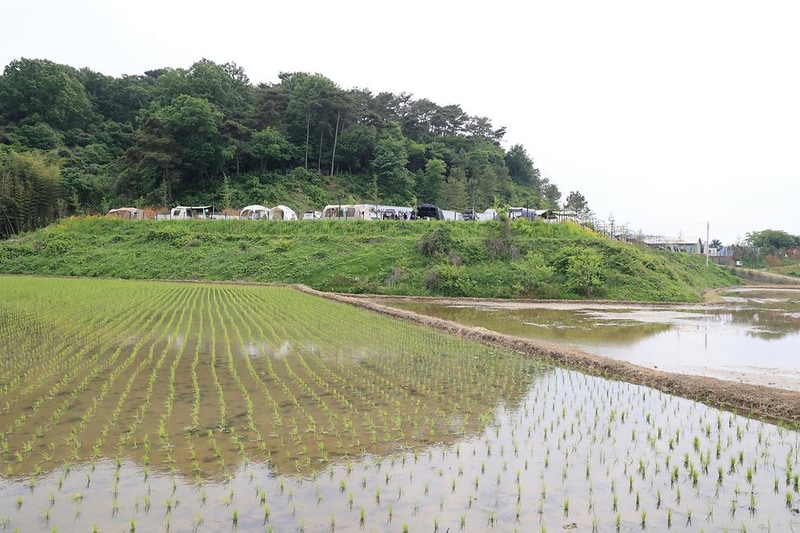 캠프타임 캠핑장 시설 사진 13