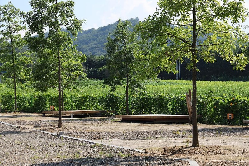 연천 당포성 캠핑장 시설 사진 2