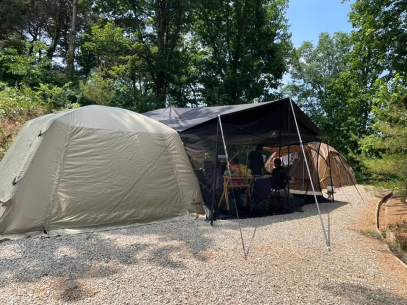 탄도호 캠핑장 A구역 두가족 사이트_명당, 장단점(※벌레 많음...