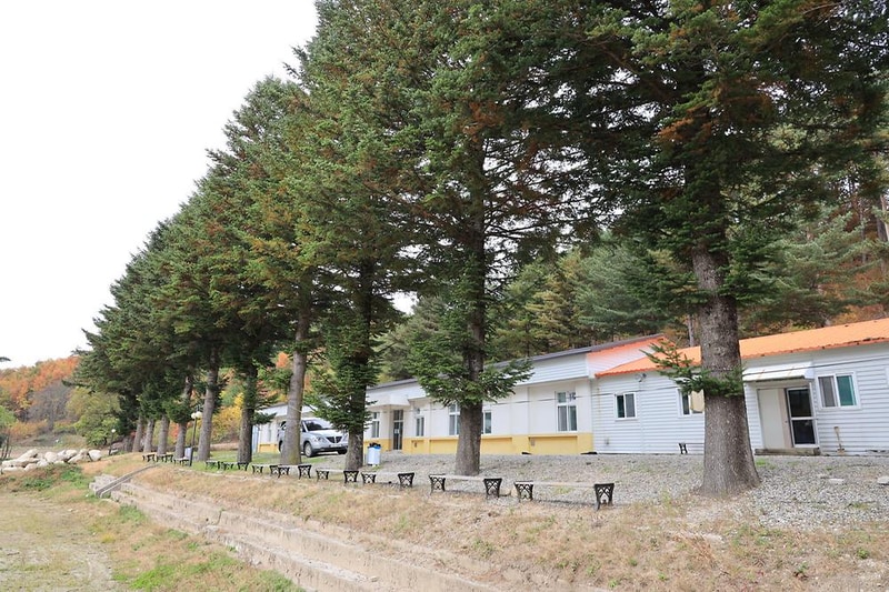 대기리산촌체험학교야영장 시설 사진 11
