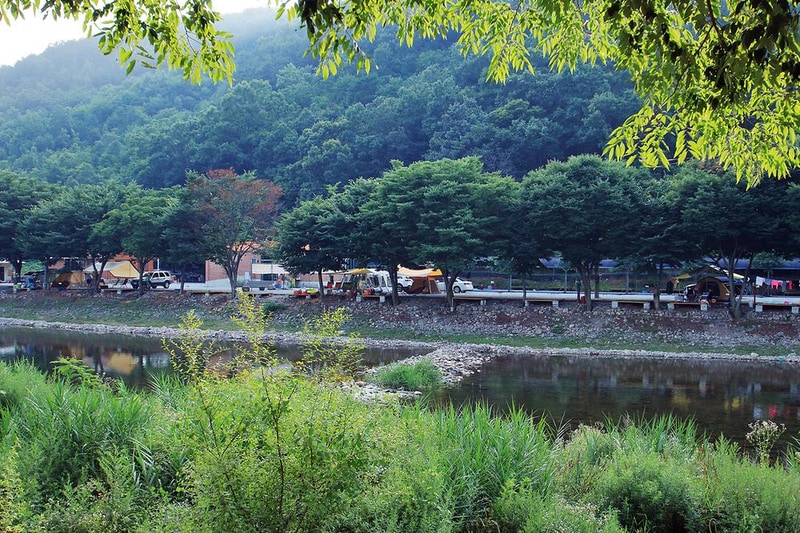 벌곡오토캠핑장 시설 사진 9