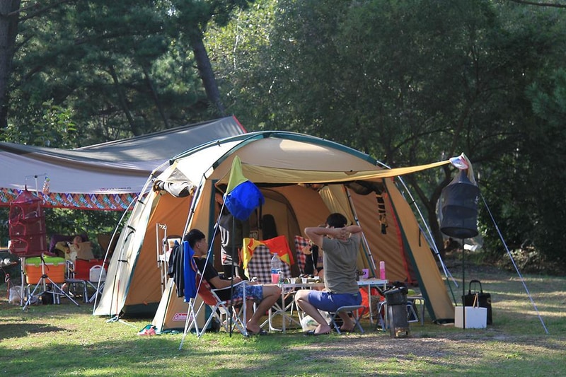 청포대숲속야영장 시설 사진 15