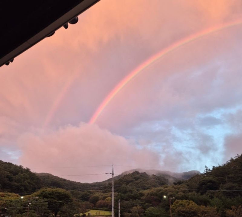 진천 힐링하기 좋은 조용한 신생 캠핑장 '맑을청캠핑장'