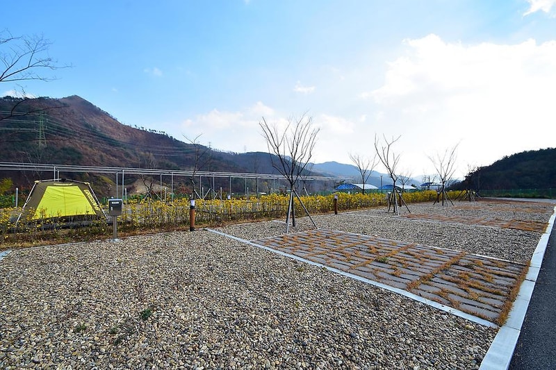 예천군 곤충나라 사과테마파크 오토캠핑장 시설 사진 10