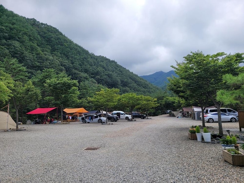 왕피천하늘담야영장 시설 사진 10