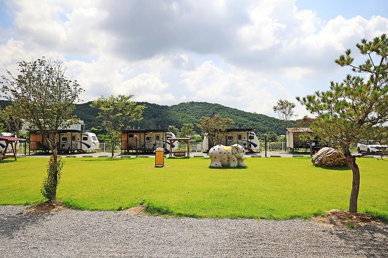 더존 관광농원 시설 사진 2