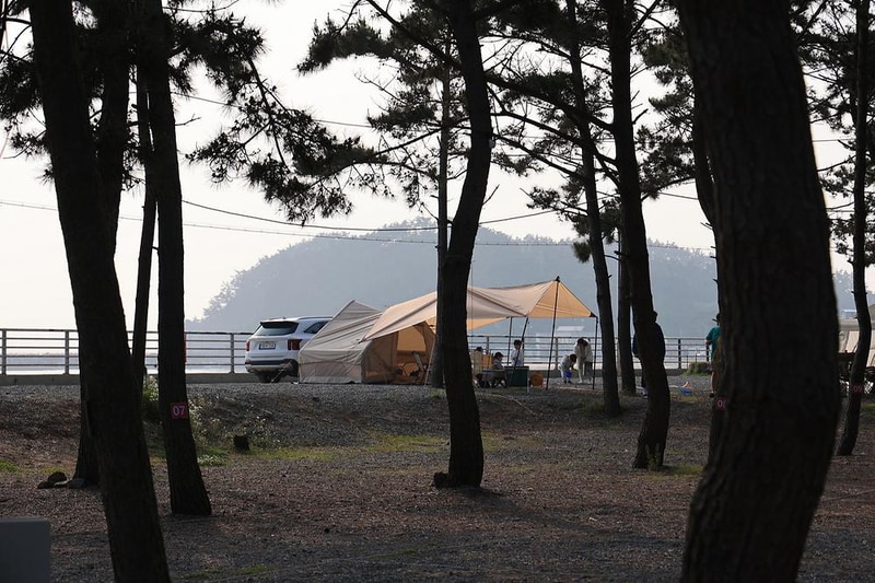 바다풍경관광농원 시설 사진 12