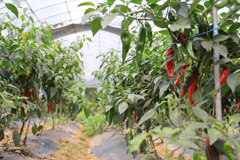 테토양평캠핑장 시설 사진 9