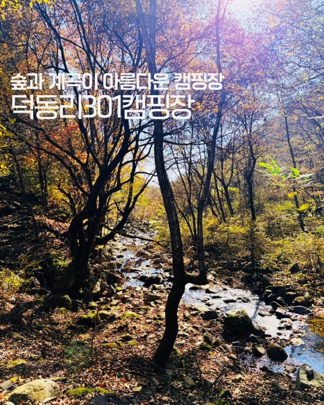 [충북캠핑] 제천 아름다운 계곡이 있는 덕동리301캠핑장...