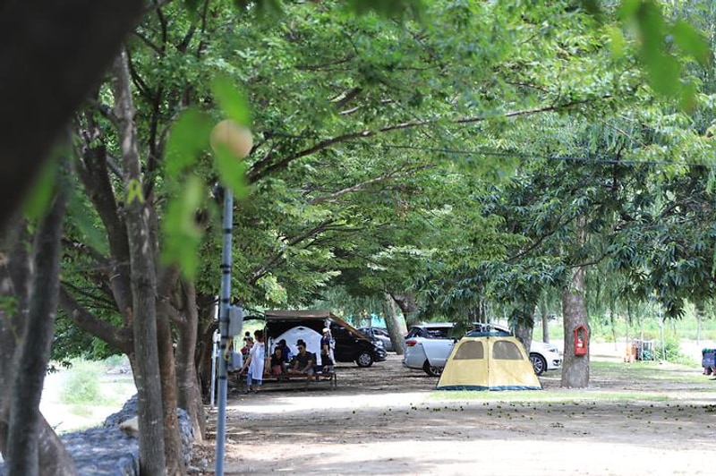 강변 야영장 대표 사진