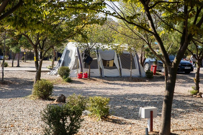 선재오토캠핑장 시설 사진 17