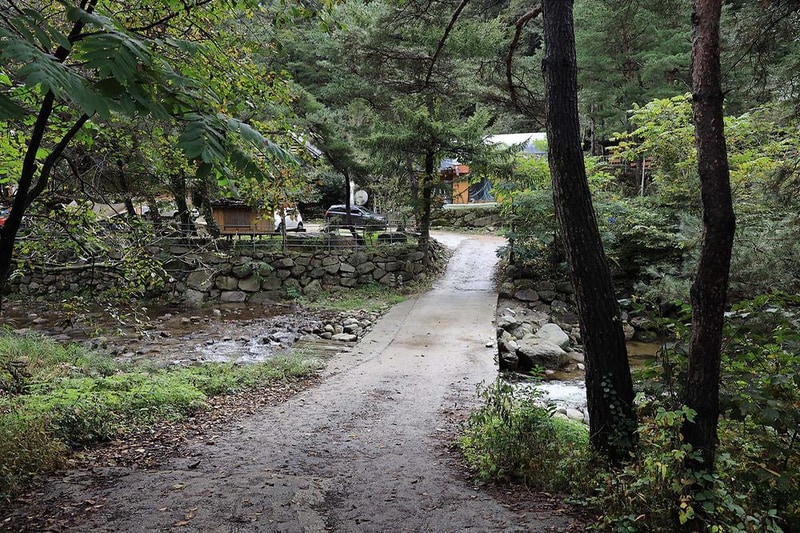 트리하우스계곡야영장 시설 사진 20