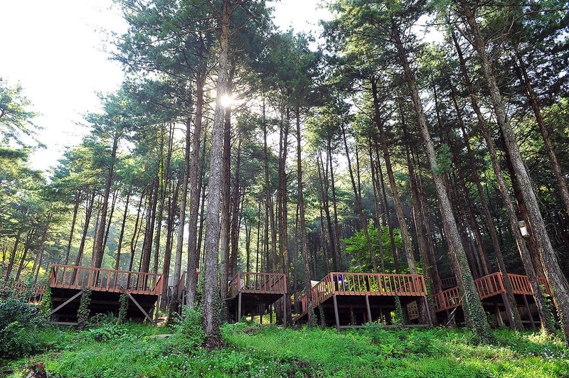 유식물원 관광농원 시설 사진 9