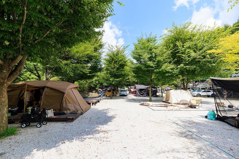 강가민박캠핑장 시설 사진 17