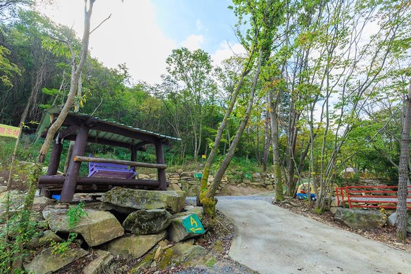 별무리 대표 사진